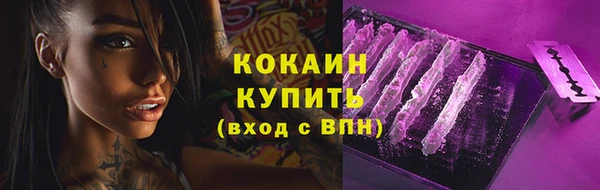 твердый Бородино