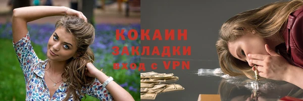 твердый Бородино