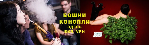 твердый Бородино