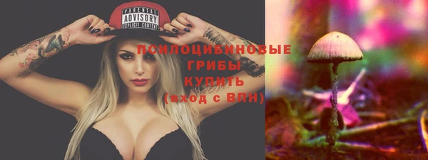 дурь Верея