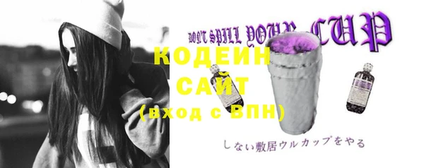 твердый Бородино