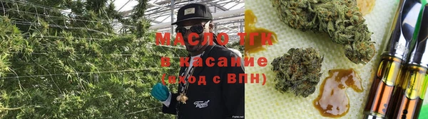 твердый Бородино