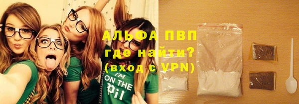 твердый Бородино
