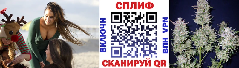 Конопля Ganja  Карабаново 